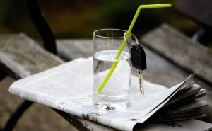 keruvannia transportnym zasobom v stani alkoholnoho spianinnia